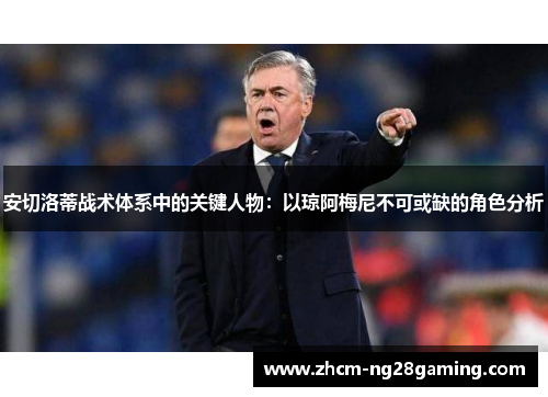 安切洛蒂战术体系中的关键人物：以琼阿梅尼不可或缺的角色分析