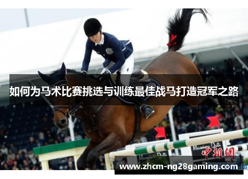 如何为马术比赛挑选与训练最佳战马打造冠军之路