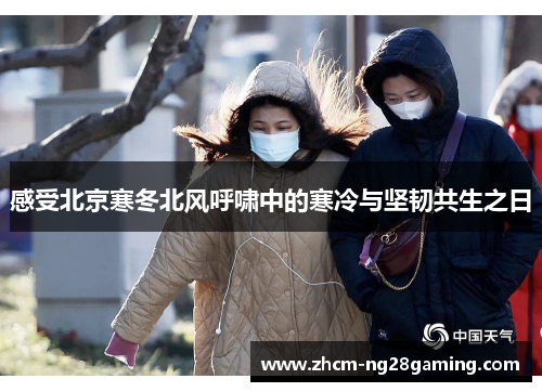 感受北京寒冬北风呼啸中的寒冷与坚韧共生之日