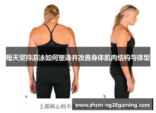 每天坚持游泳如何塑造并改善身体肌肉结构与体型